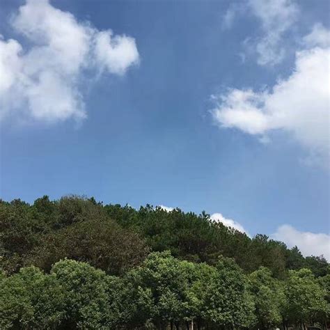 青龙山|青龙山森林公园（出门准备+徒步路线）